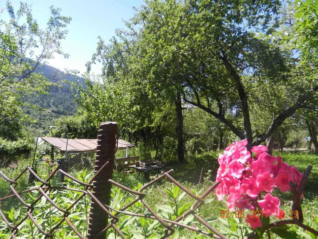 Marina Chartolani's guest house Mestia Esterno foto