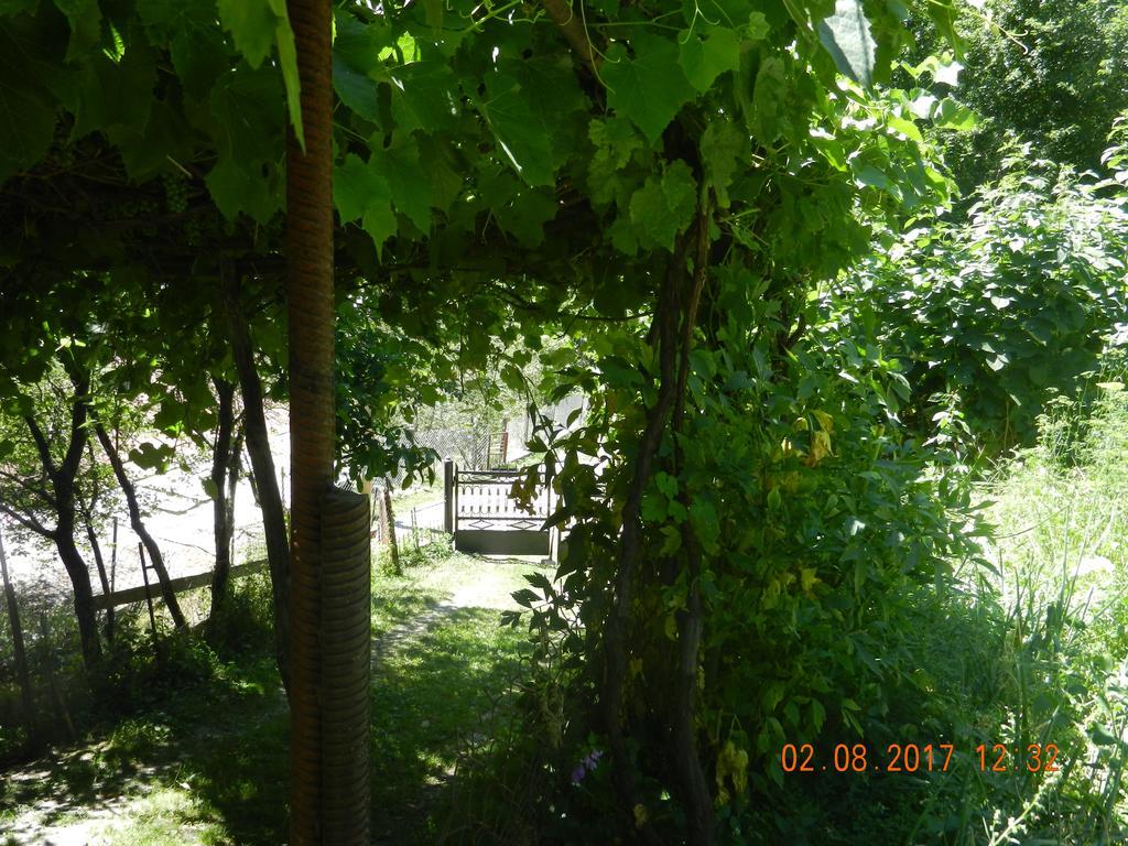 Marina Chartolani's guest house Mestia Esterno foto